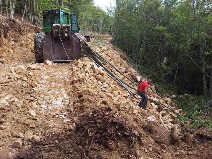 Exploitation forestière Barcelonette