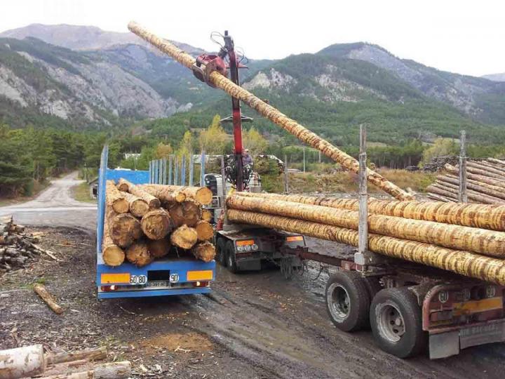 Travaux de débardage Barcelonette