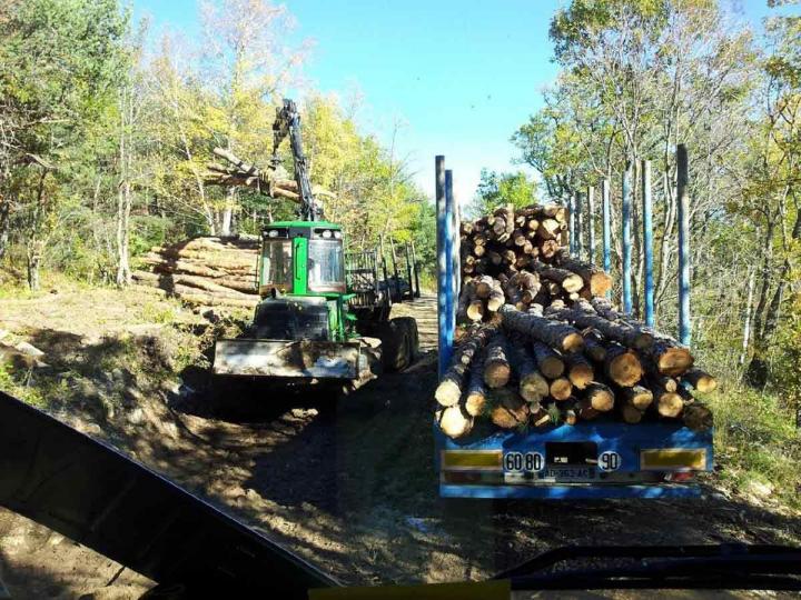 Débardage Barcelonette