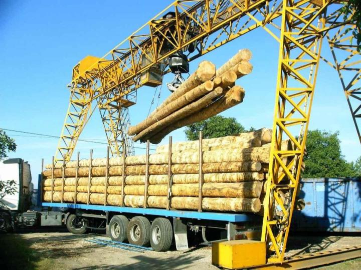 Débardage Barcelonette