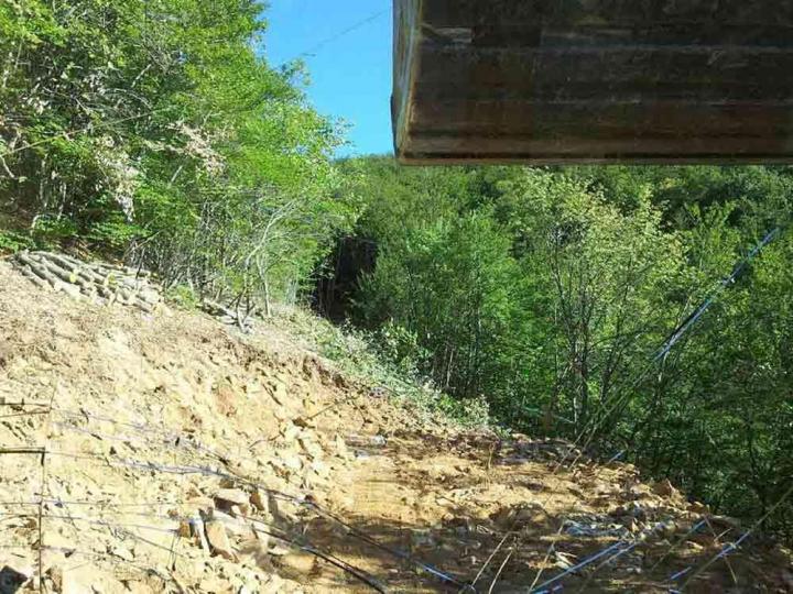 Exploitation forestière Barcelonette