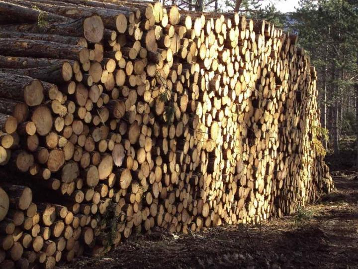 Vendeurs de bois de chauffage Barcelonette
