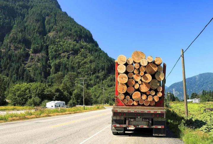 Vente de bois de chauffage Barcelonette